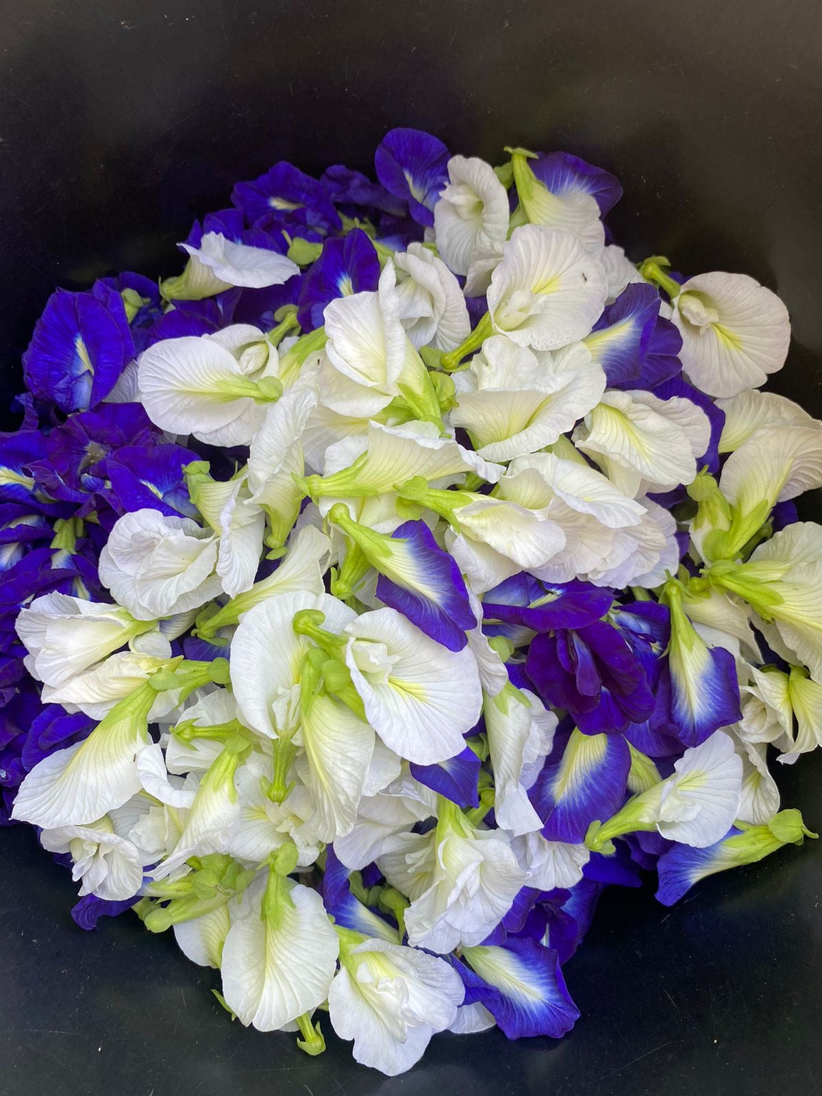 500G Organic Blue Ternate Flower